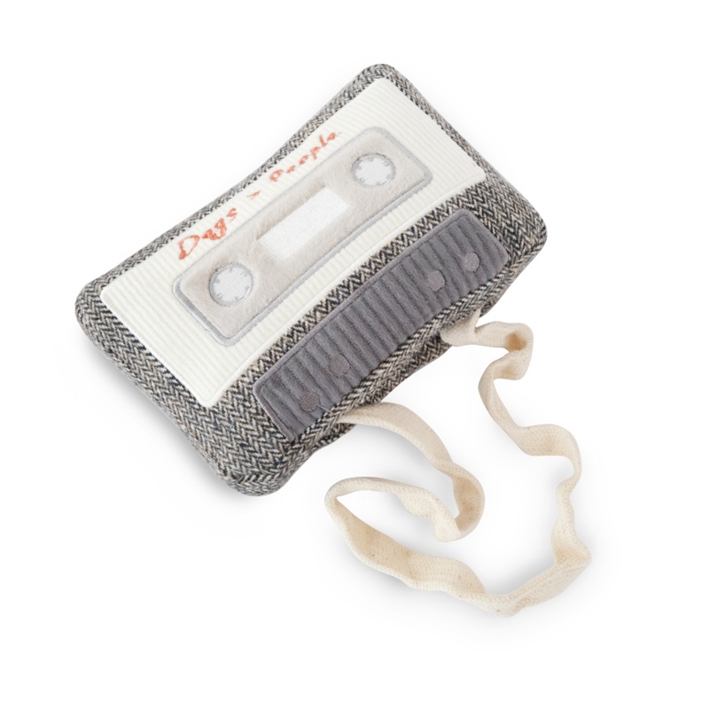 Cassette Enrichment Toy