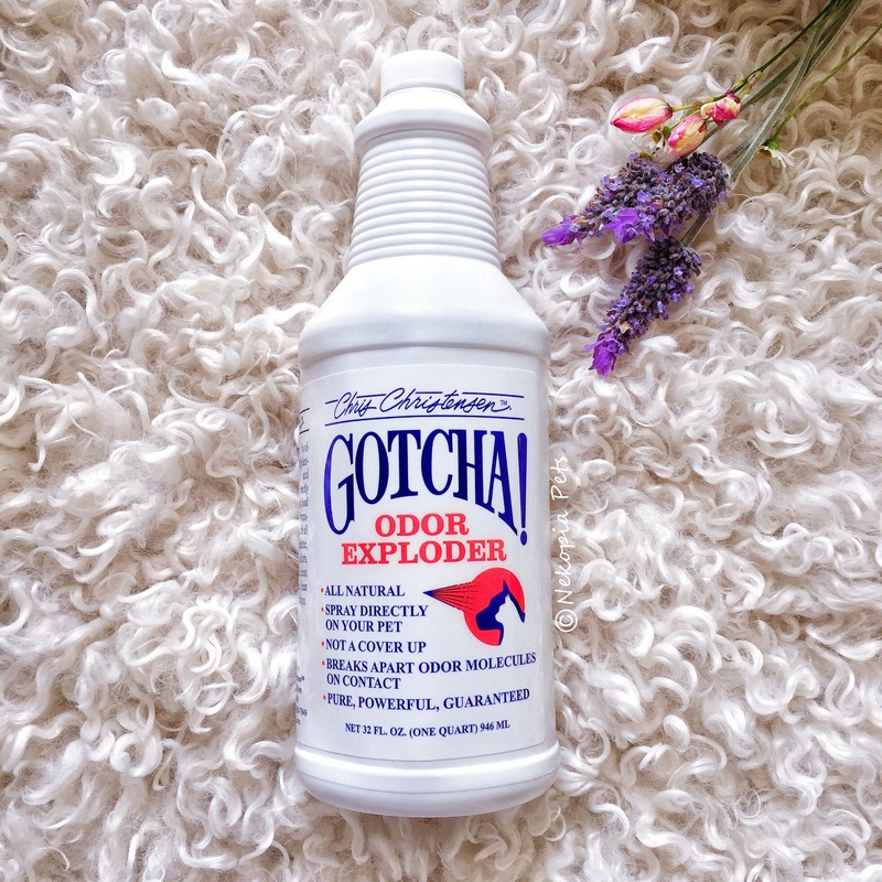 Chris Christensen Gotcha Odour Exploder 32 oz