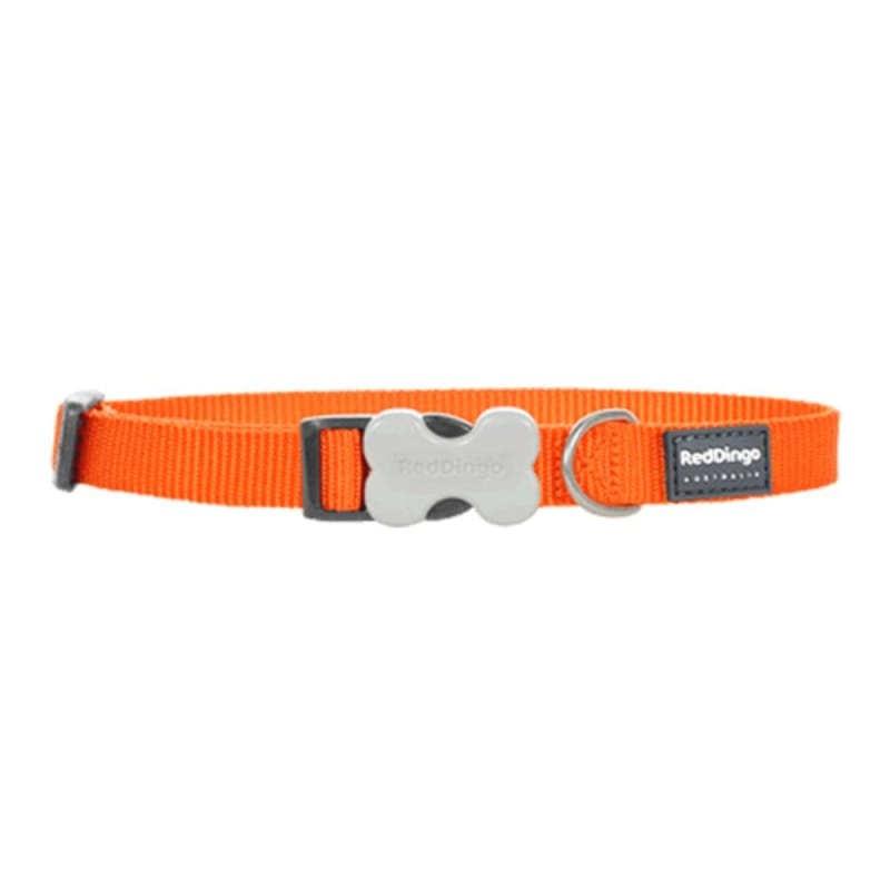 Red Dingo Bucklebone Classic Orange Dog Collar (4 Sizes)