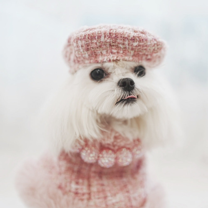 Boucl Cloak Pet Harness|XS|S|M|L|XL