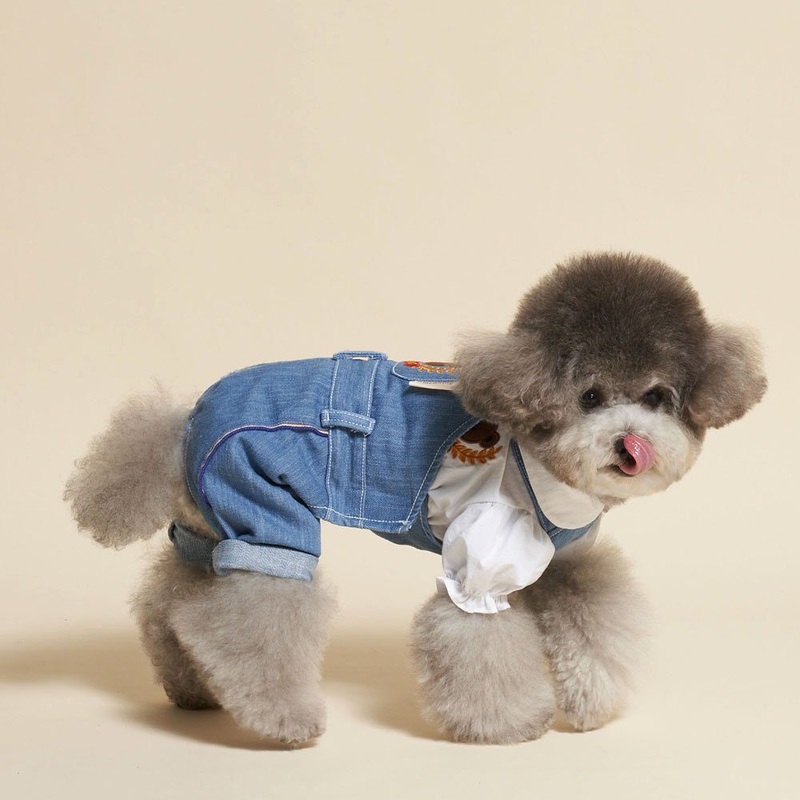 School Bears Uniform for Furkids
