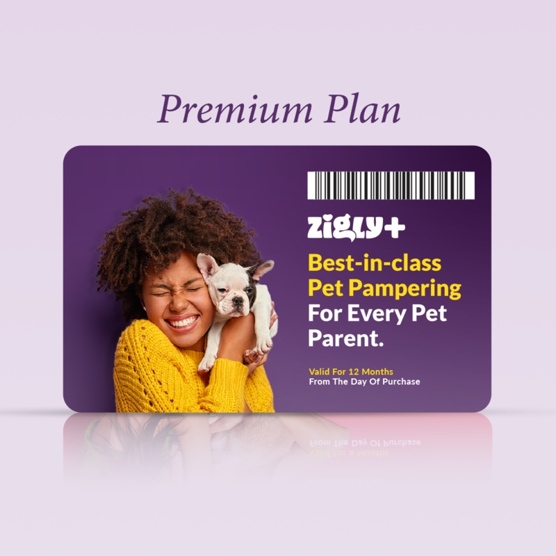 Zigly+ Premium Plan : Platinum
