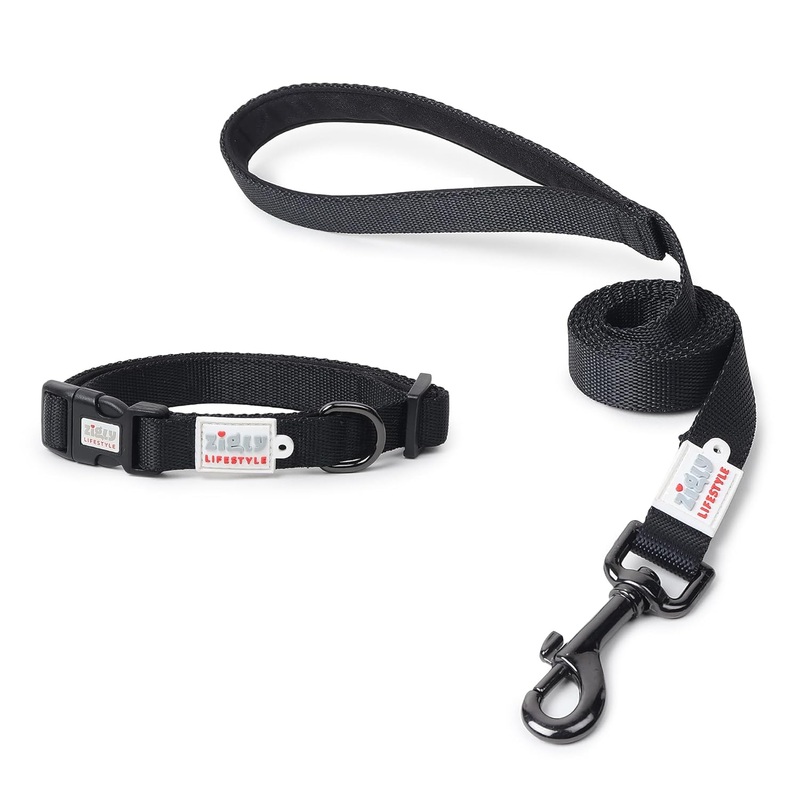 ZL Classic Padded Dog Collar & Leash Set – Black