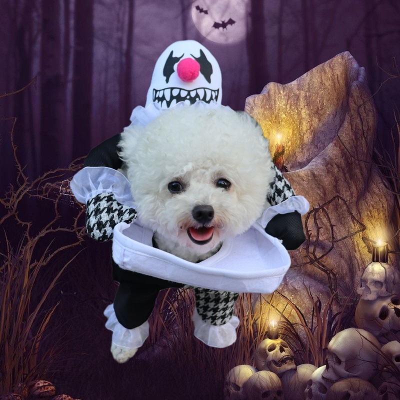 Cos What’s for Dinner Pet Costume