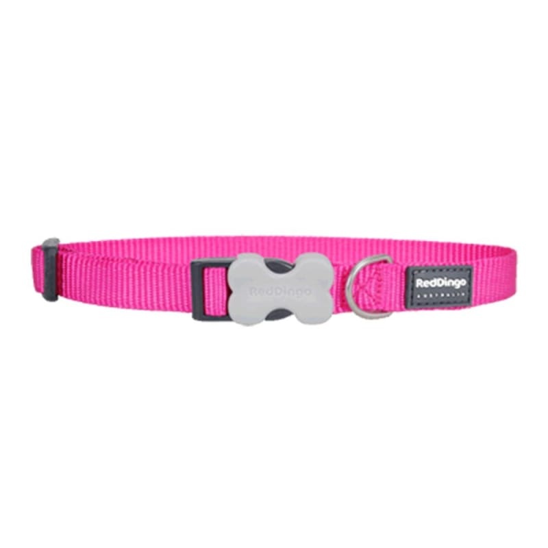 Red Dingo Bucklebone Classic Hot Pink Dog Collar (4 Sizes)