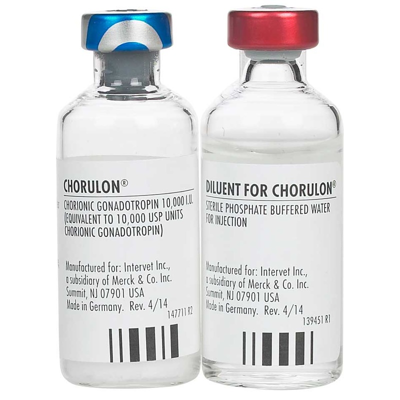 Rx Chorulon HCG 10 000IU injection x 10ml bottle