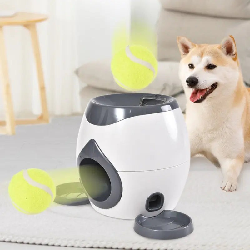 Treat Dispenser