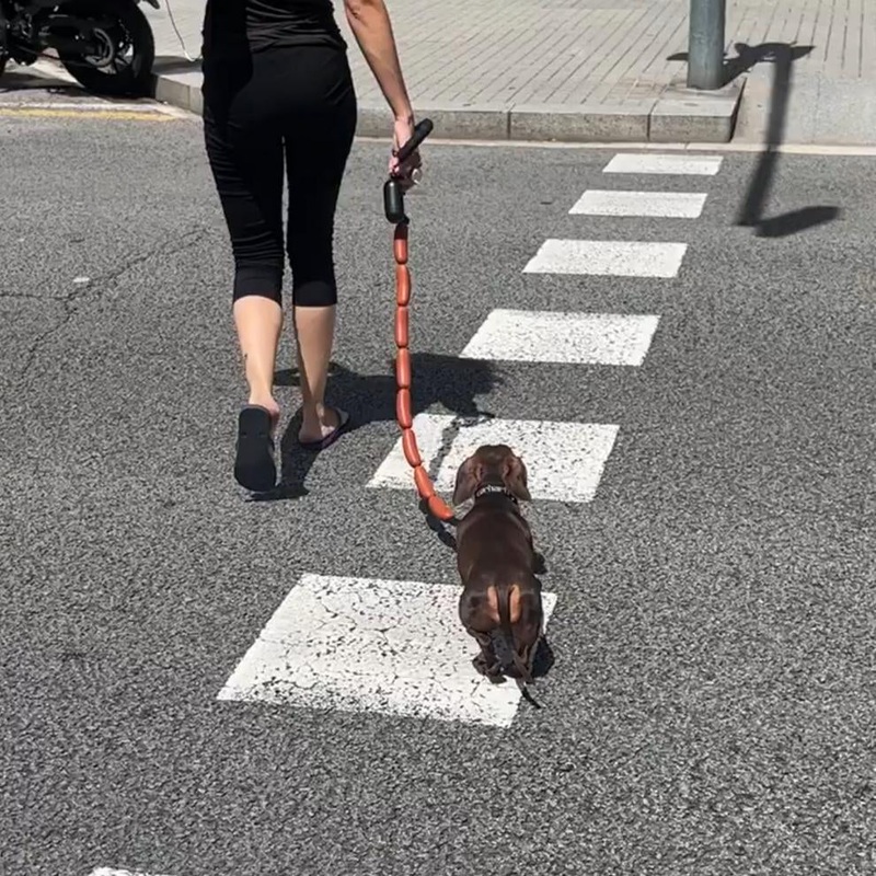 Sausage Needs Sausage Leash