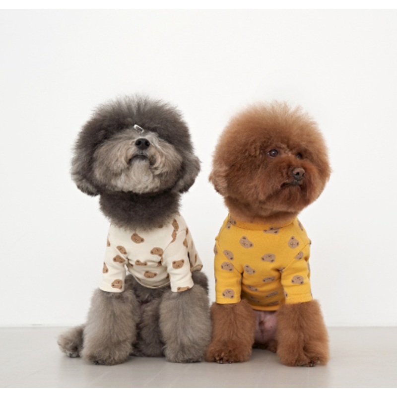 Acid Bear Colorful Bear Cotton Top