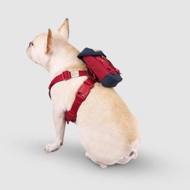 Sputnik Clean Multi-Function Red Bag
