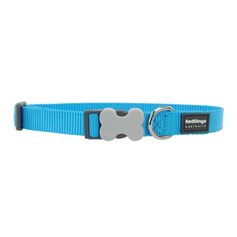 Red Dingo Bucklebone Classic Turquoise Dog Collar (4 Sizes)