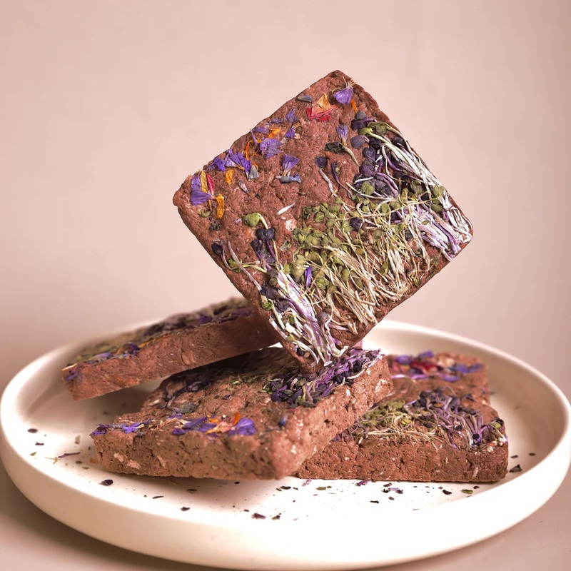 Sprouts Horse Brick 35g