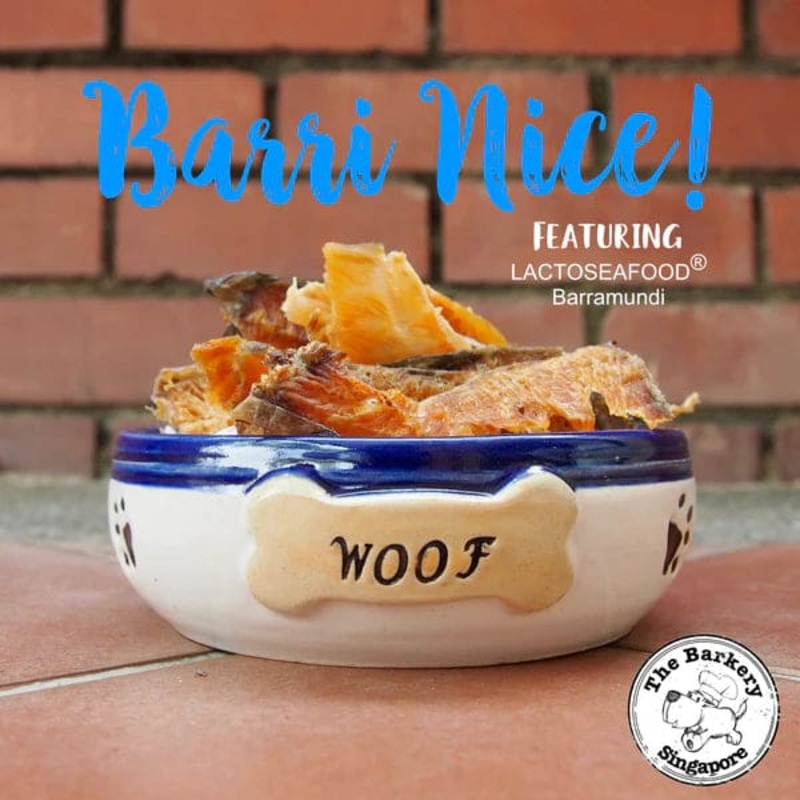 The Barkery Barri Nice Barramundi Fillet Dehydrated Dog Treats (2 Sizes)