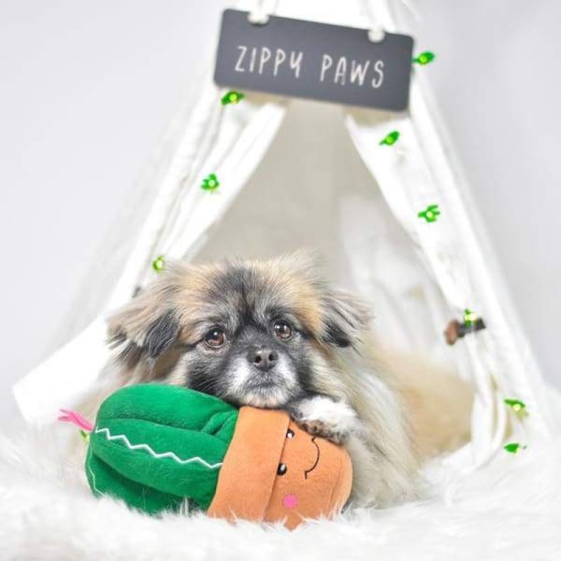 [10% OFF] ZippyPaws Carmen The Cactus Dog Toy