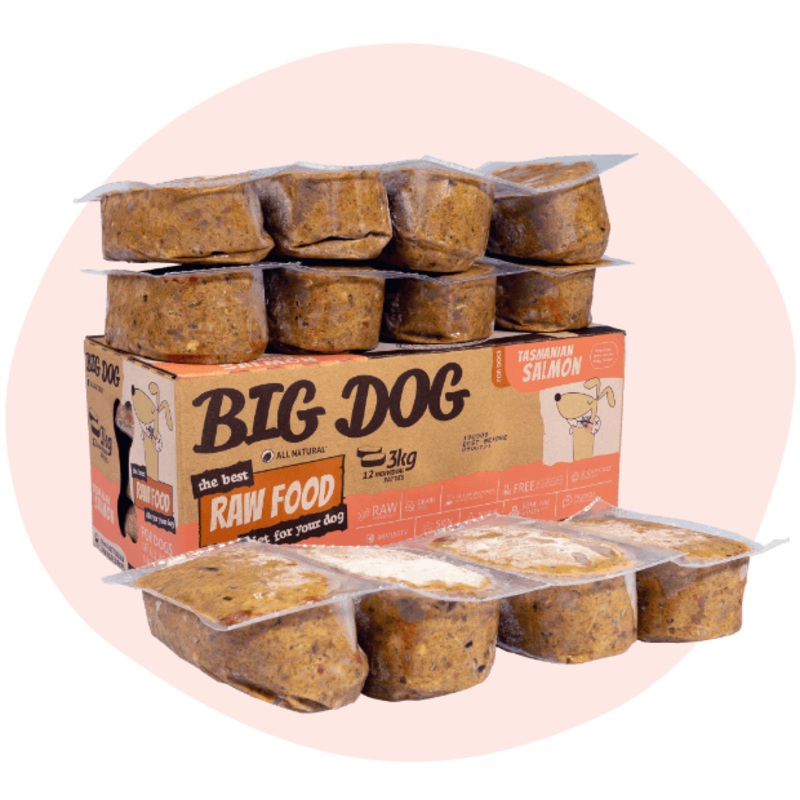 Big Dog Tasmanian Salmon Raw for Dogs