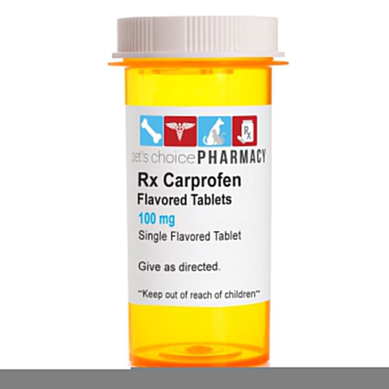 Rx Carprofen Flavored Tablets 100mg, Single Tablet