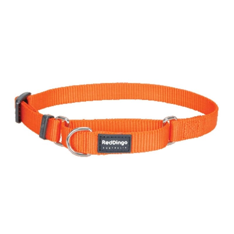 Red Dingo Martingale Half Check Orange Dog Collar (4 Sizes)