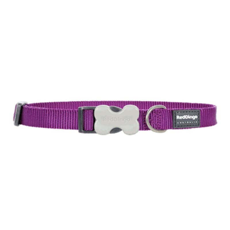 Red Dingo Bucklebone Classic Purple Dog Collar (4 Sizes)