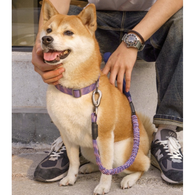 TuffHound Stretchy Leash for Dogs