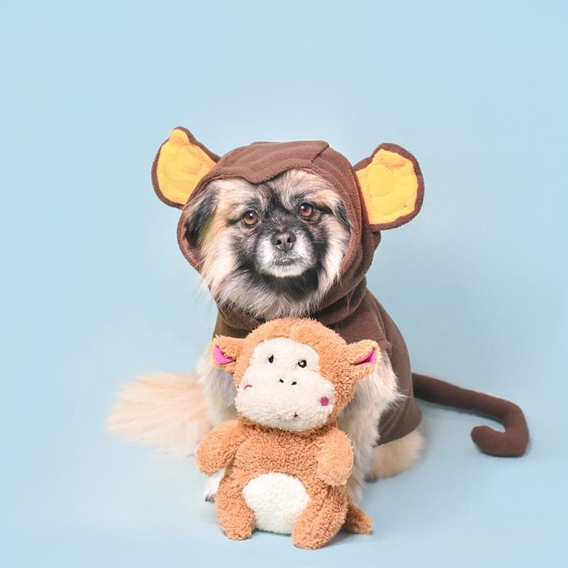 [10% OFF] ZippyPaws Cheeky Chumz Monkey Dog Toy