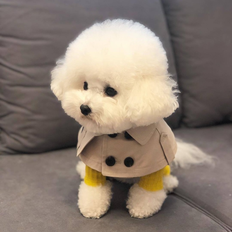 Berrberrly Cloak