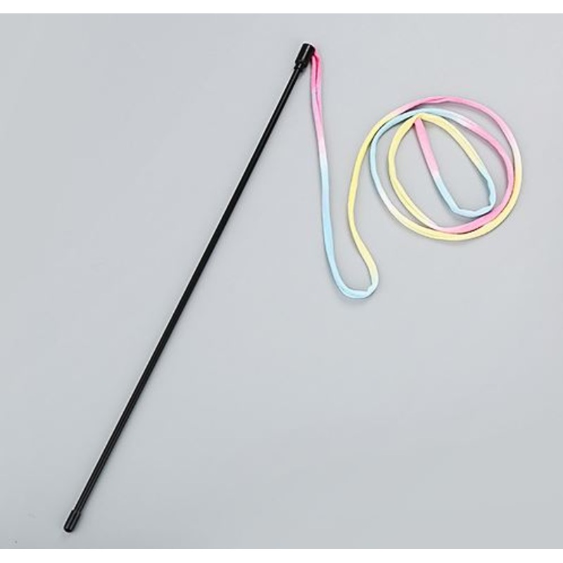 Rainbow Cat Teaser Toy