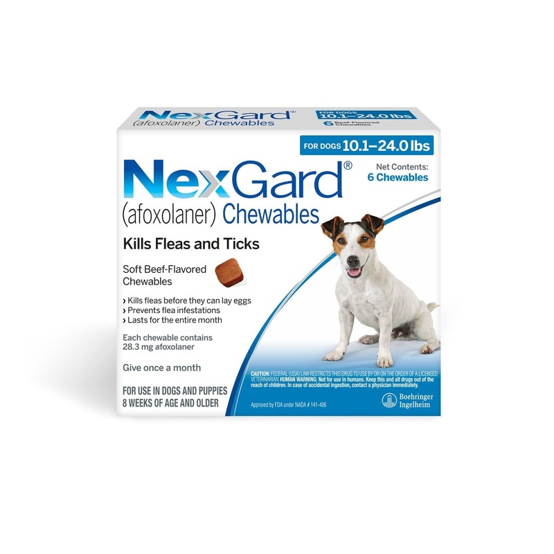 Rx NexGard Dog 10.1-24lb x 6 tablet