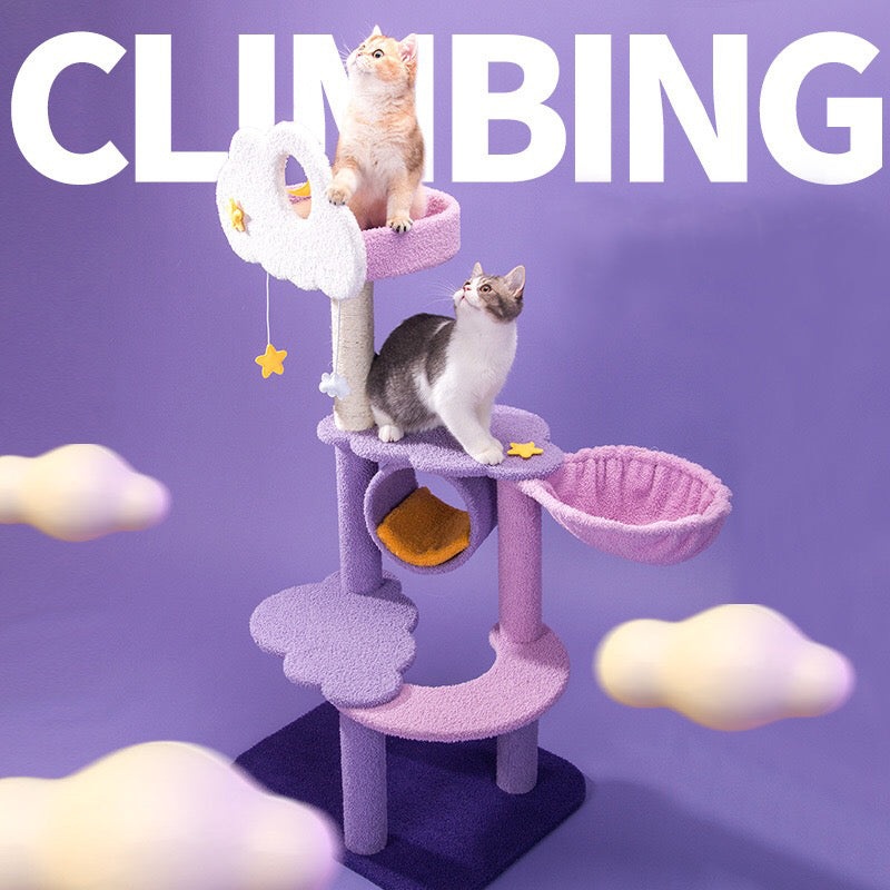 Sparkling Sky Cat Climber