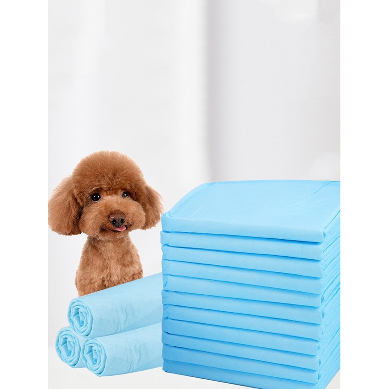 10pcs Pet Changing Pad|Pink|Blue|S|M|L|XL