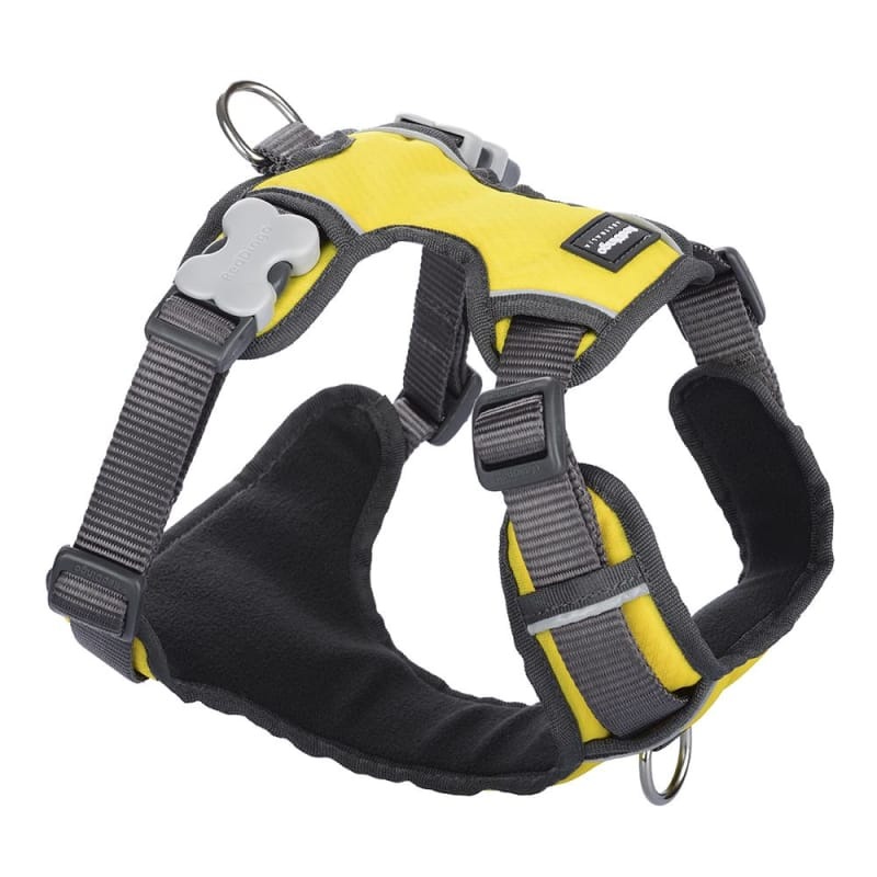 Red Dingo Padded Yellow Dog Harness (5 Sizes)
