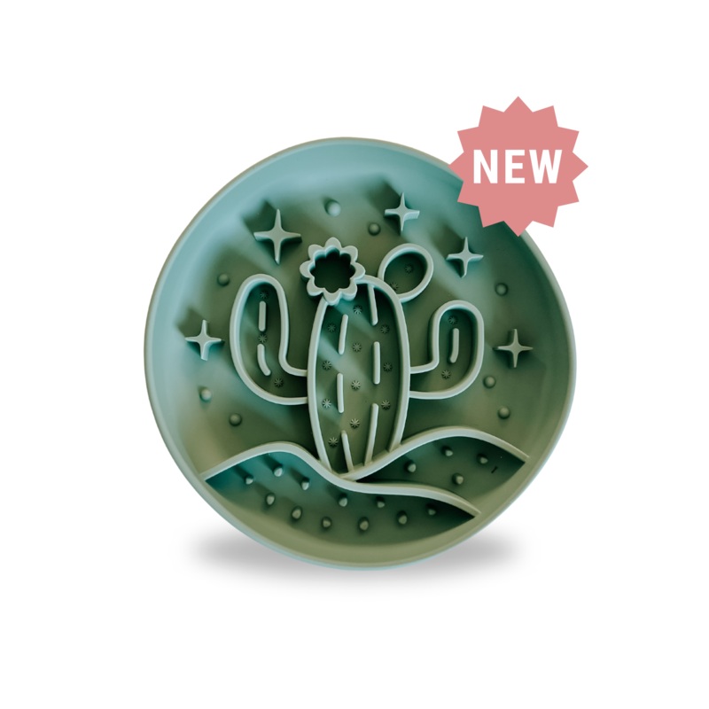 Cactus Slow Feeder