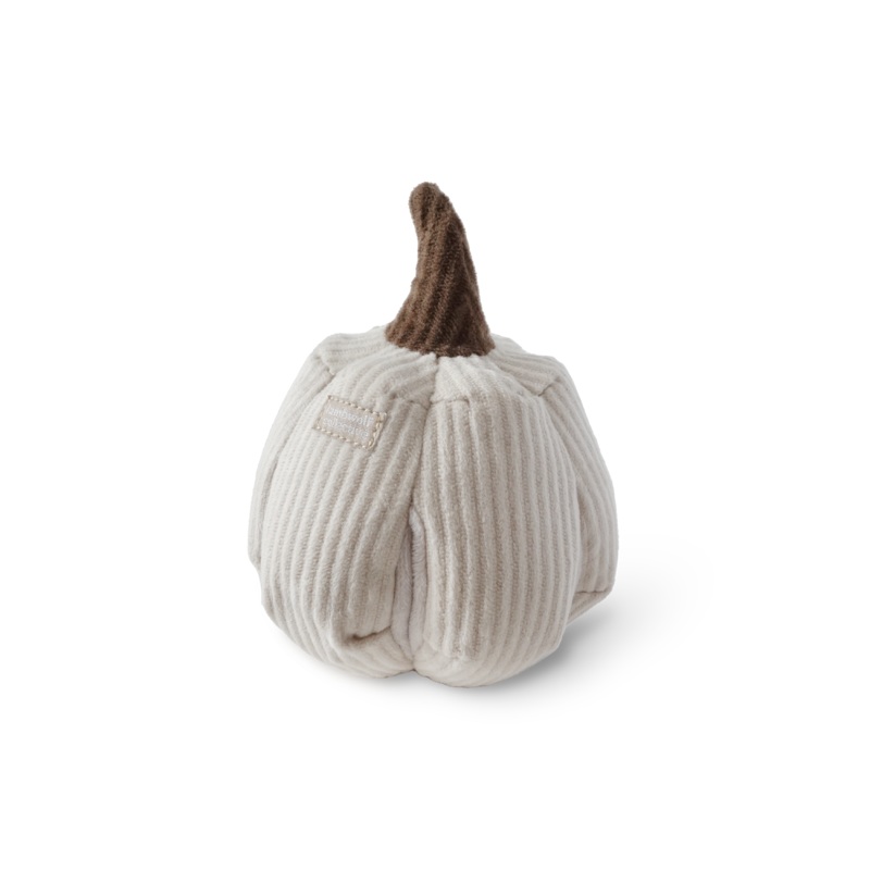 BOO Pumpkin|Enrichment Toy