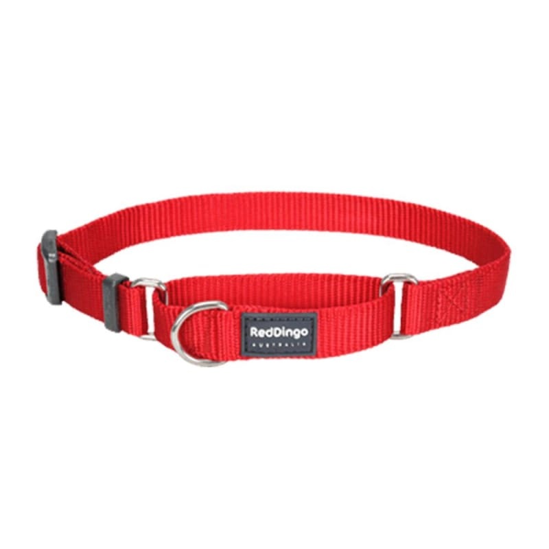 Red Dingo Martingale Half Check Red Dog Collar (4 Sizes)