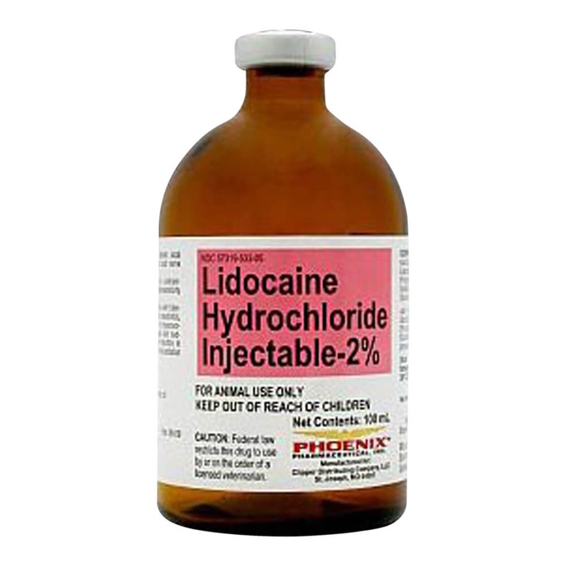 Lidocaine Hydrochloride Injectable 2% Rx  100 ml