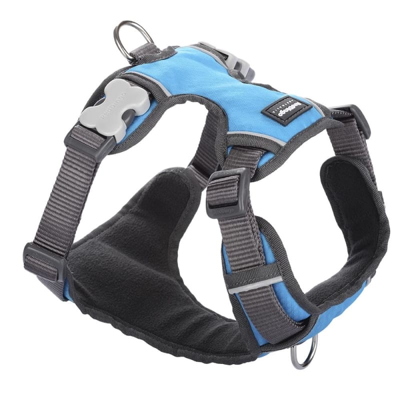 Red Dingo Padded Turquoise Dog Harness (5 Sizes)
