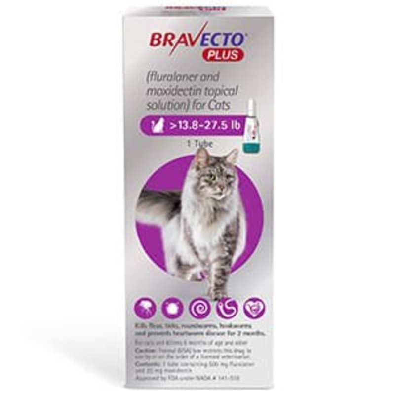 Rx Bravecto Plus Topical Cat 13.8-27.5lbs x 1 tube
