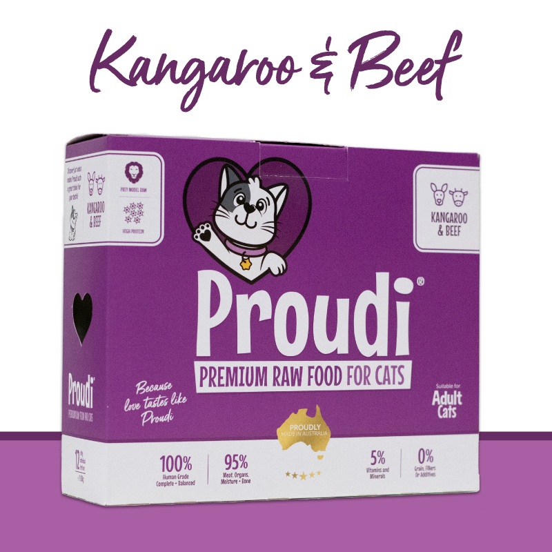 Proudi Premium Raw Cat Roo&Beef 1.08kg