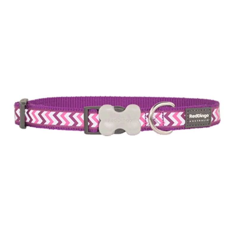 Red Dingo Bucklebone Reflective Ziggy Purple Dog Collar (4 Sizes)