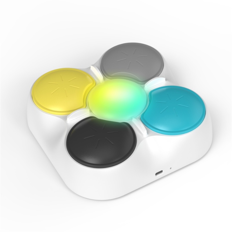 Bentopal P23 Recordable Training Buttons Voice Box