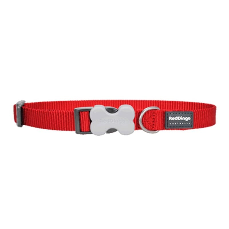 Red Dingo Bucklebone Classic Red Dog Collar (4 Sizes)