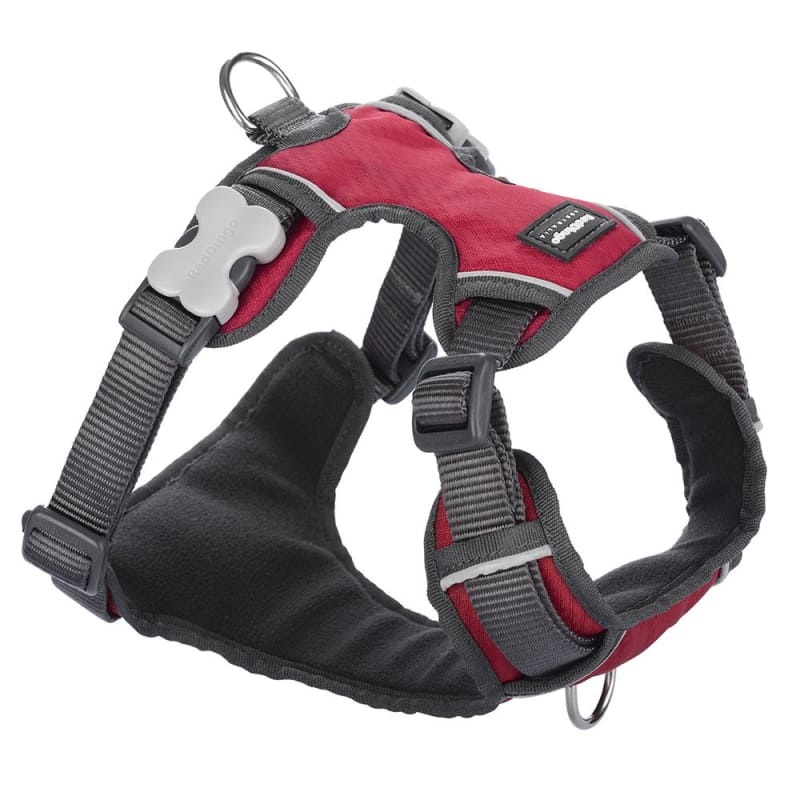 Red Dingo Padded Red Dog Harness (5 Sizes)