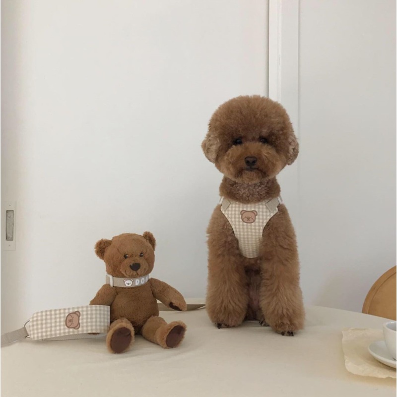 Beargot Grid Grizzly Bear Pet Harness&Leash