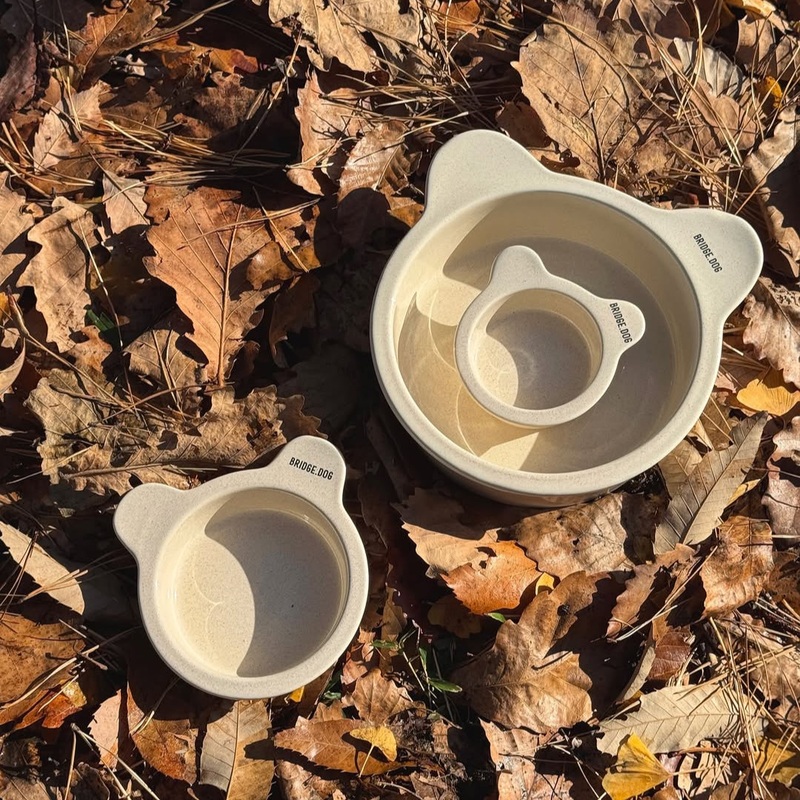 Bridge Dog Bear Bowl Oatmeal|Toy Bowl|Mini Bowl|Basic Bowl|Big Bowl