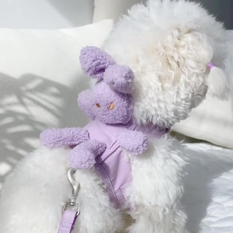 Cotton Bunny Harness Set|Cream|Purple|Pink|M|L