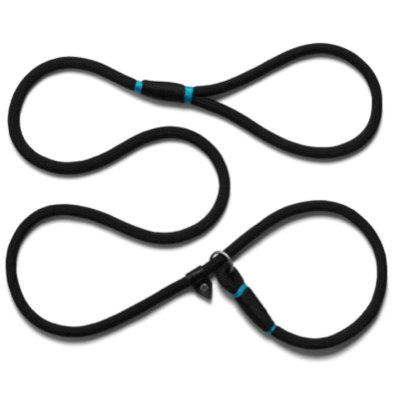 Zee.Dog Slip On Dog Leash – Hawk