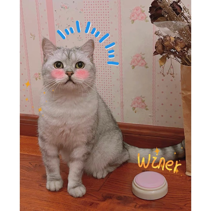 Recordable Pet Talking Buttons