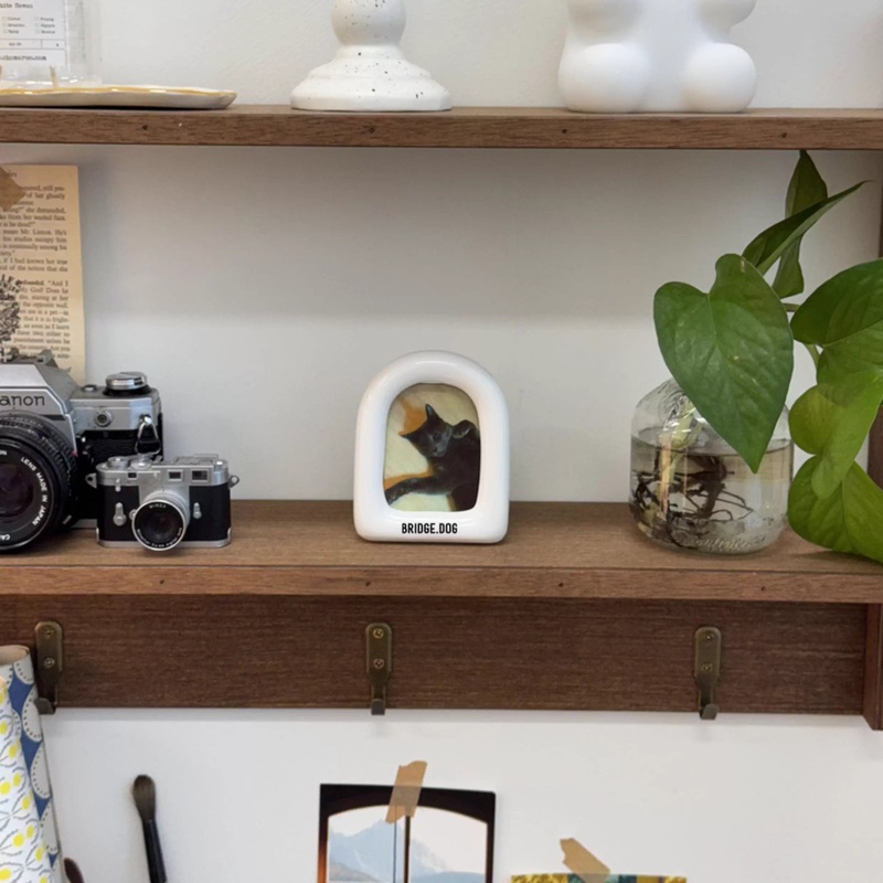 Bridge Dog Photo Frame